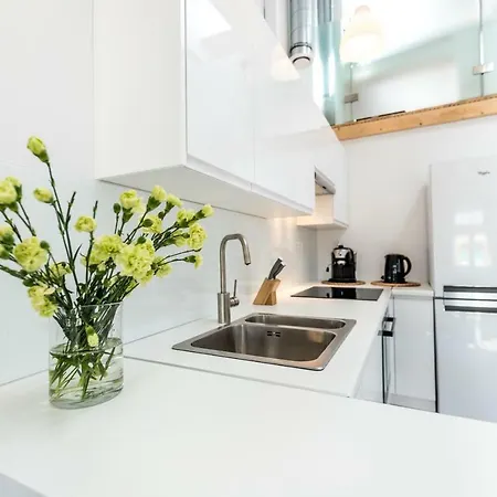 公寓 Panorama Twin Loft Superior 波兹南