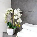 Appartamento Panorama Twin Loft Superior *