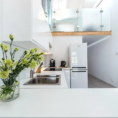 Panorama Twin Loft Superior Apartment