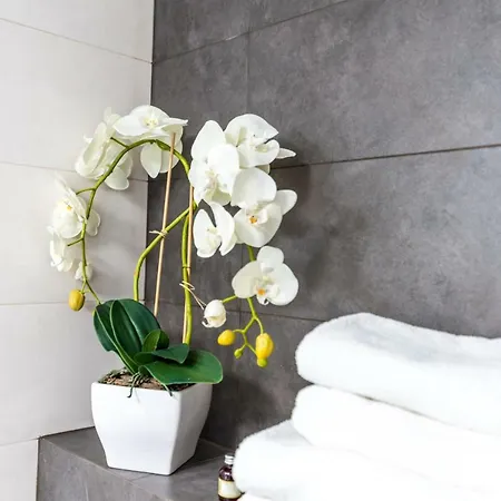 Apartment Panorama Twin Loft Superior *